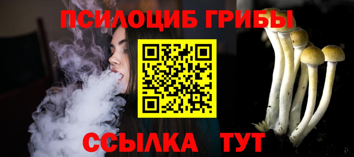 Апрелевка  Псилоцибиновые грибы Psilocybe  Вход с VPN  Псилоцибиновые грибы Psilocybe 