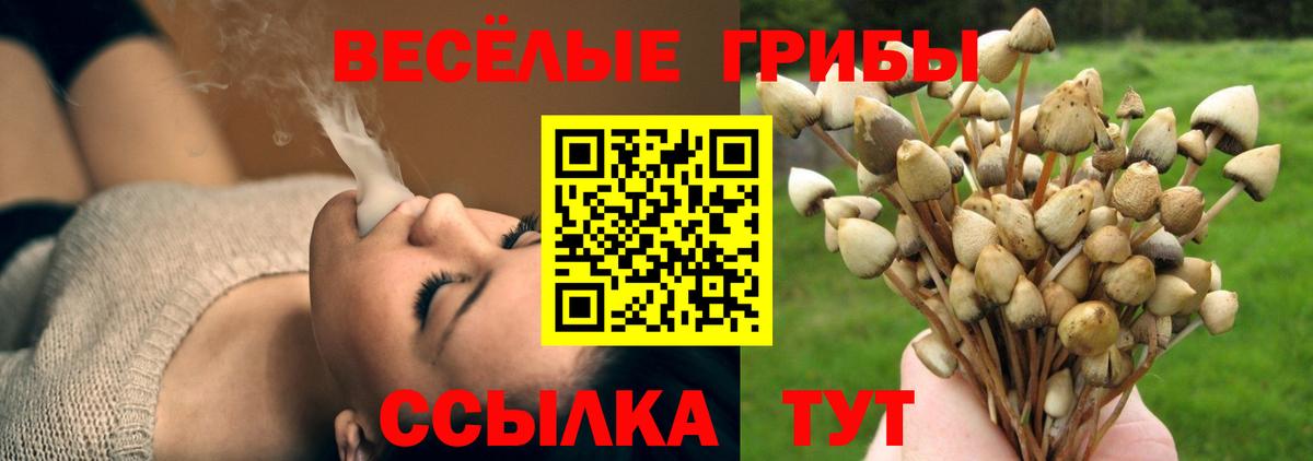 Галлюциногенные грибы мухоморы Апрелевка